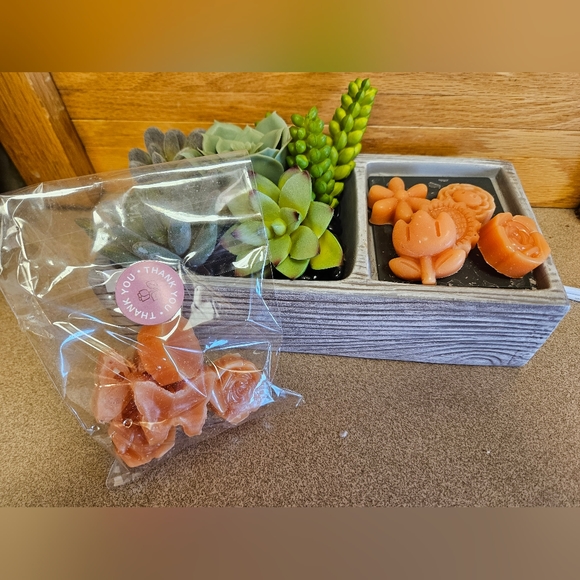 Minty Fresh Wax Melts - Picture 1 of 1